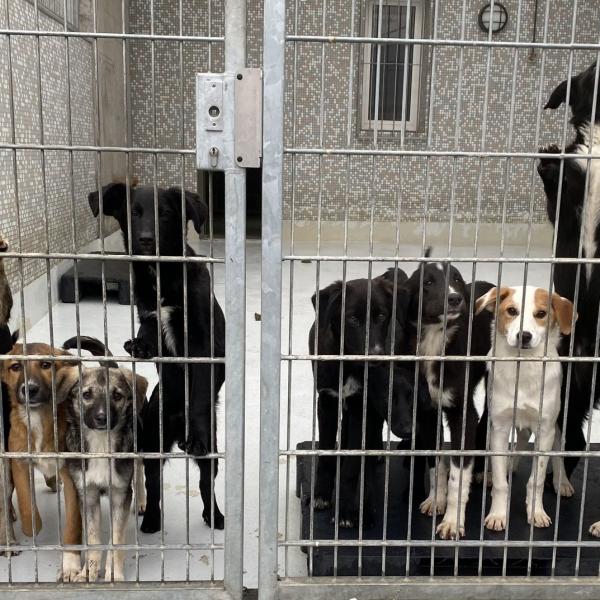 Start BMT Pfullingen