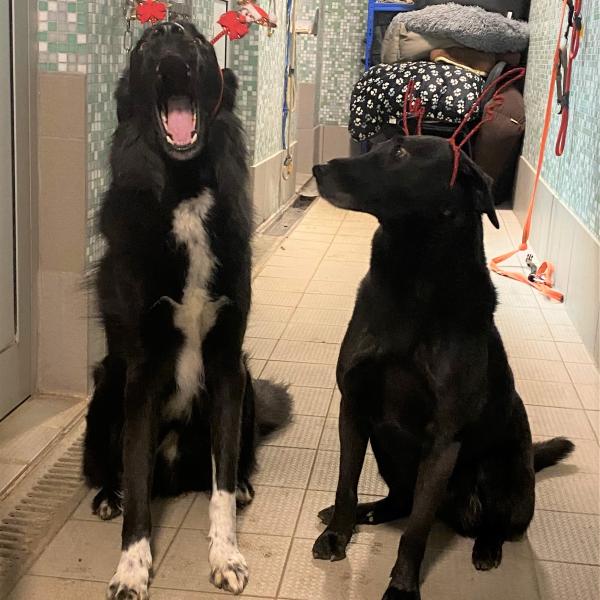 Start BMT Pfullingen