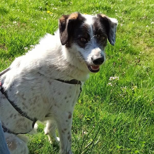 Start BMT Pfullingen